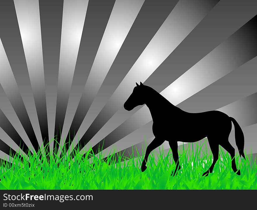 Horse on the grass illustration