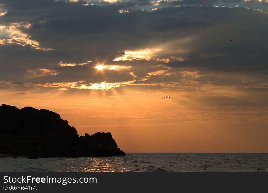 Sunset over sea with cliff and bird