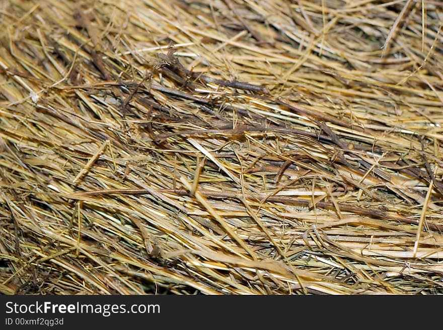 Yellow hay irregular background texture. Yellow hay irregular background texture