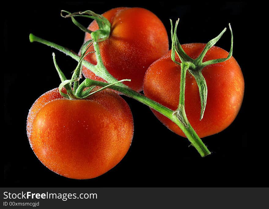 Close up red tomatoes plaсed in a water with air bubbles. Close up red tomatoes plaсed in a water with air bubbles