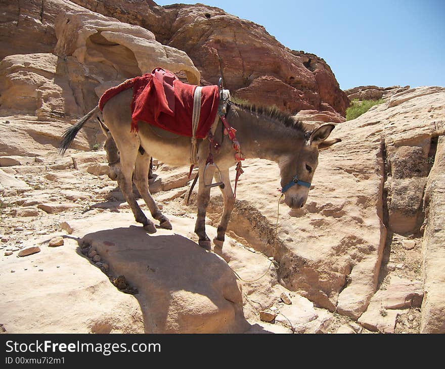 Archaeological site of Petra in Jordan surrounded by beautiful mountains. Archaeological site of Petra in Jordan surrounded by beautiful mountains