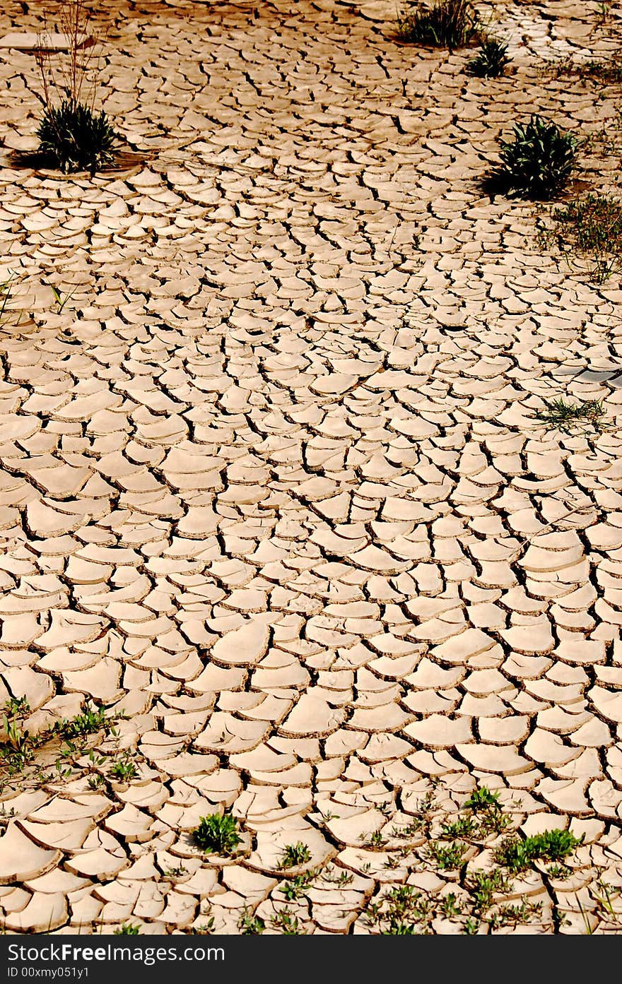 Dried Up Dry Dock