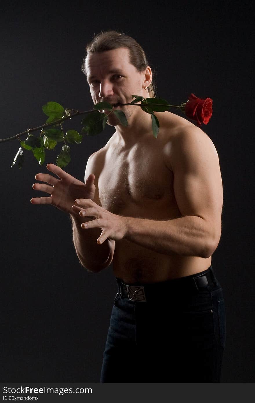 Standing romantic man with red rose. Standing romantic man with red rose