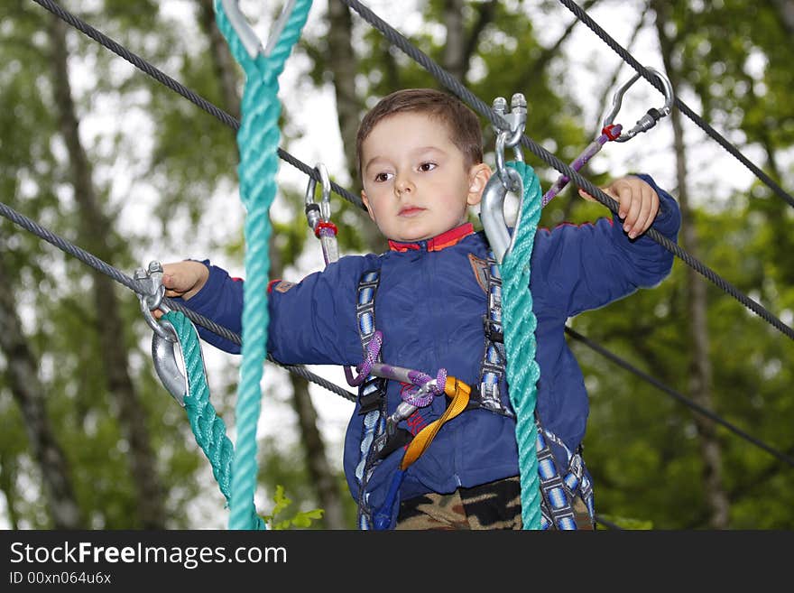 Young boy climbing  in the forest