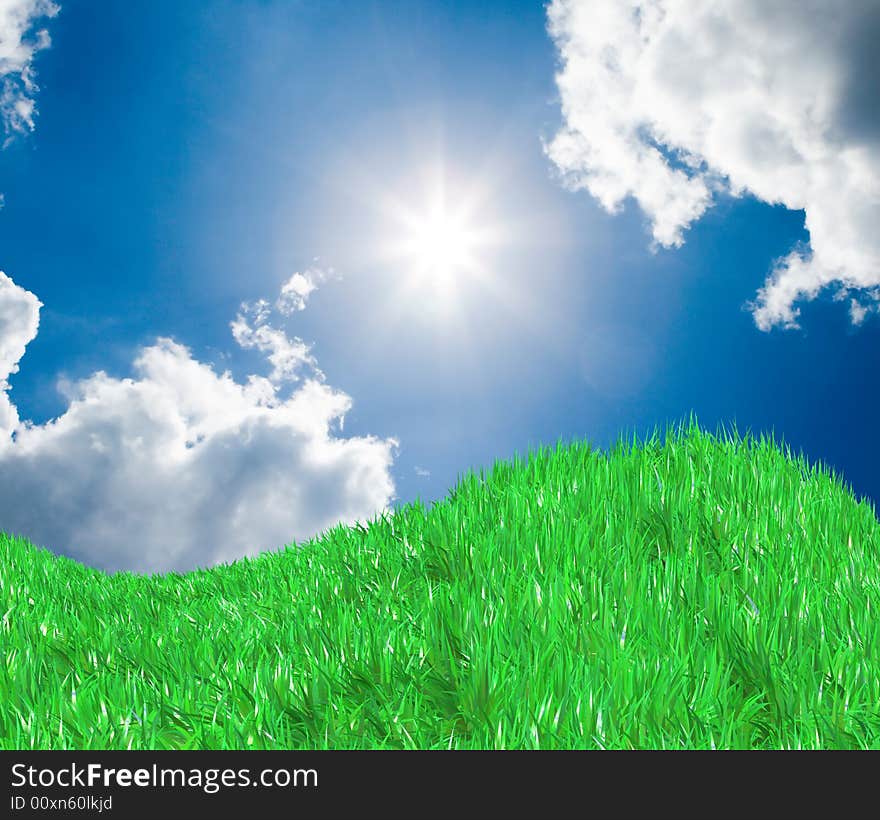 Fresh Green Field On Blue Sunny Sky Background