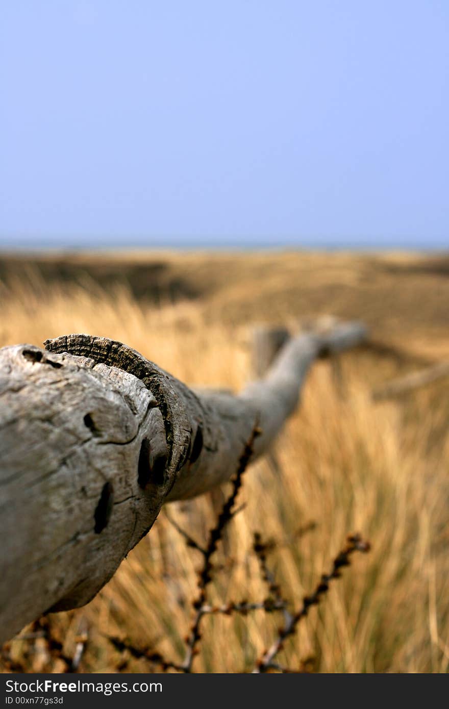 Made this shot when i was walking trough the dunes. Made this shot when i was walking trough the dunes