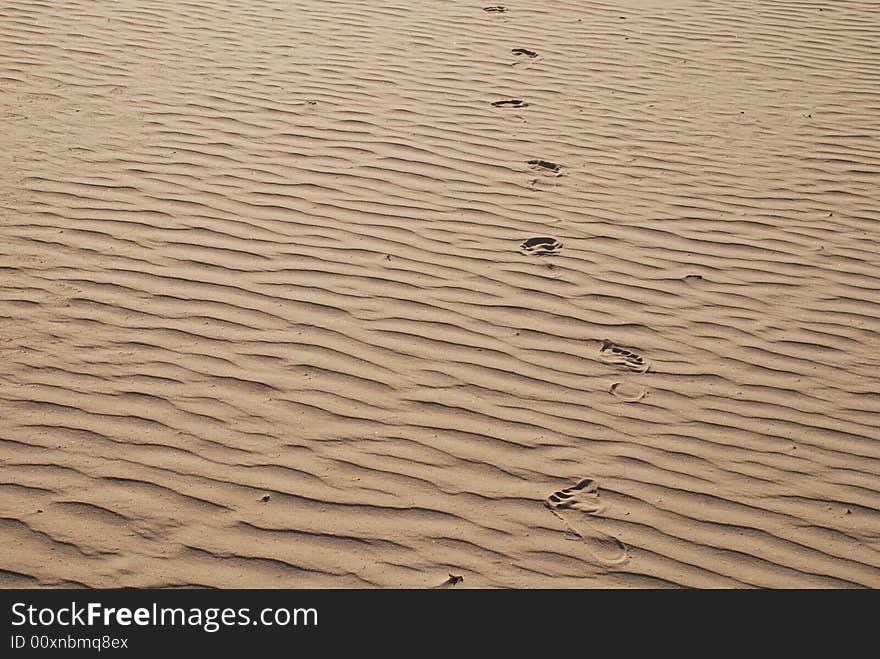 Foots track go on the sand on the beach. Foots track go on the sand on the beach