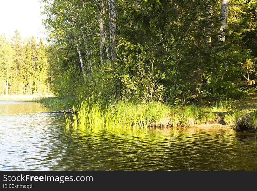 Lake and nature