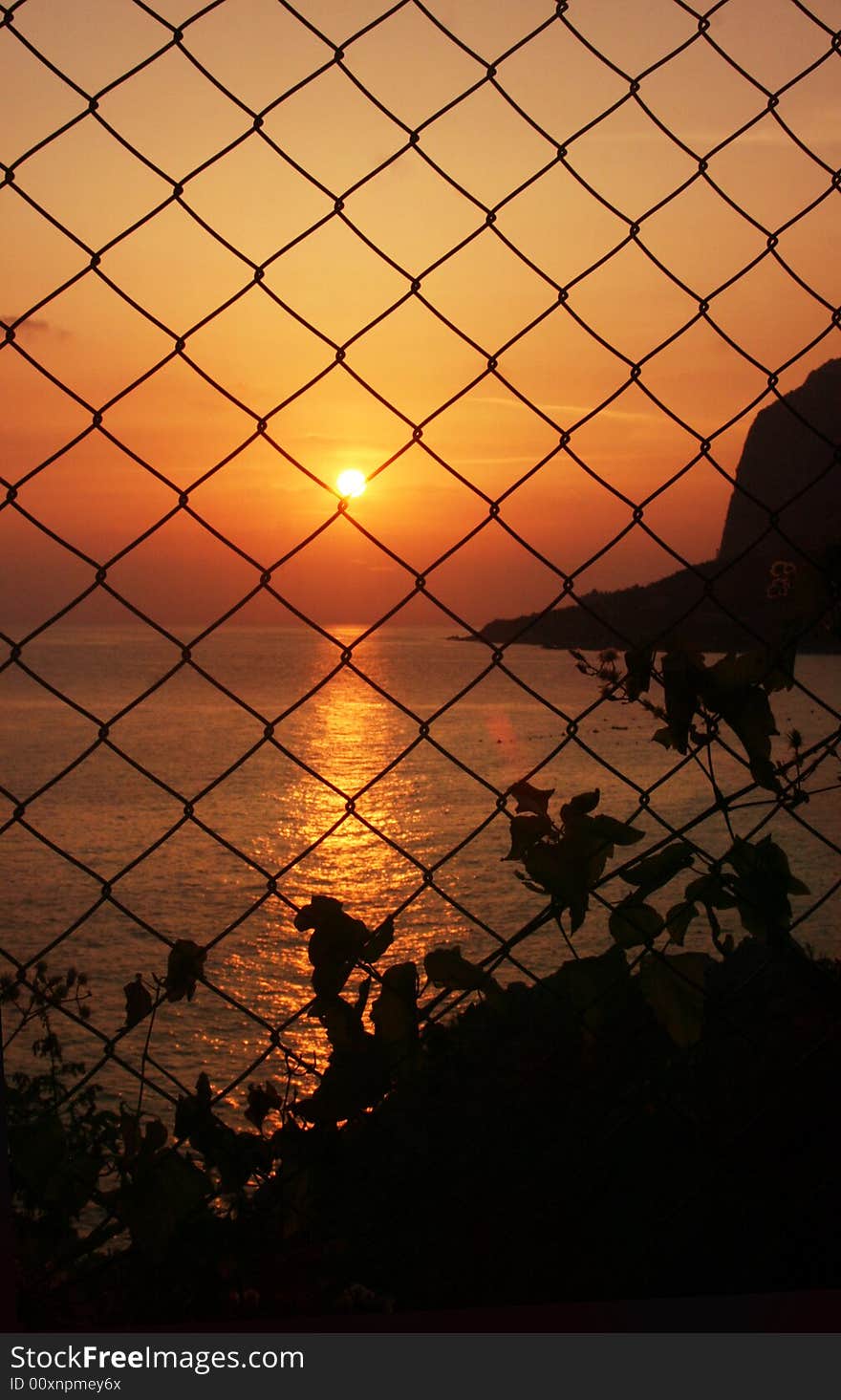 Sunset on the sea, a landscape behind the grid. Sunset on the sea, a landscape behind the grid