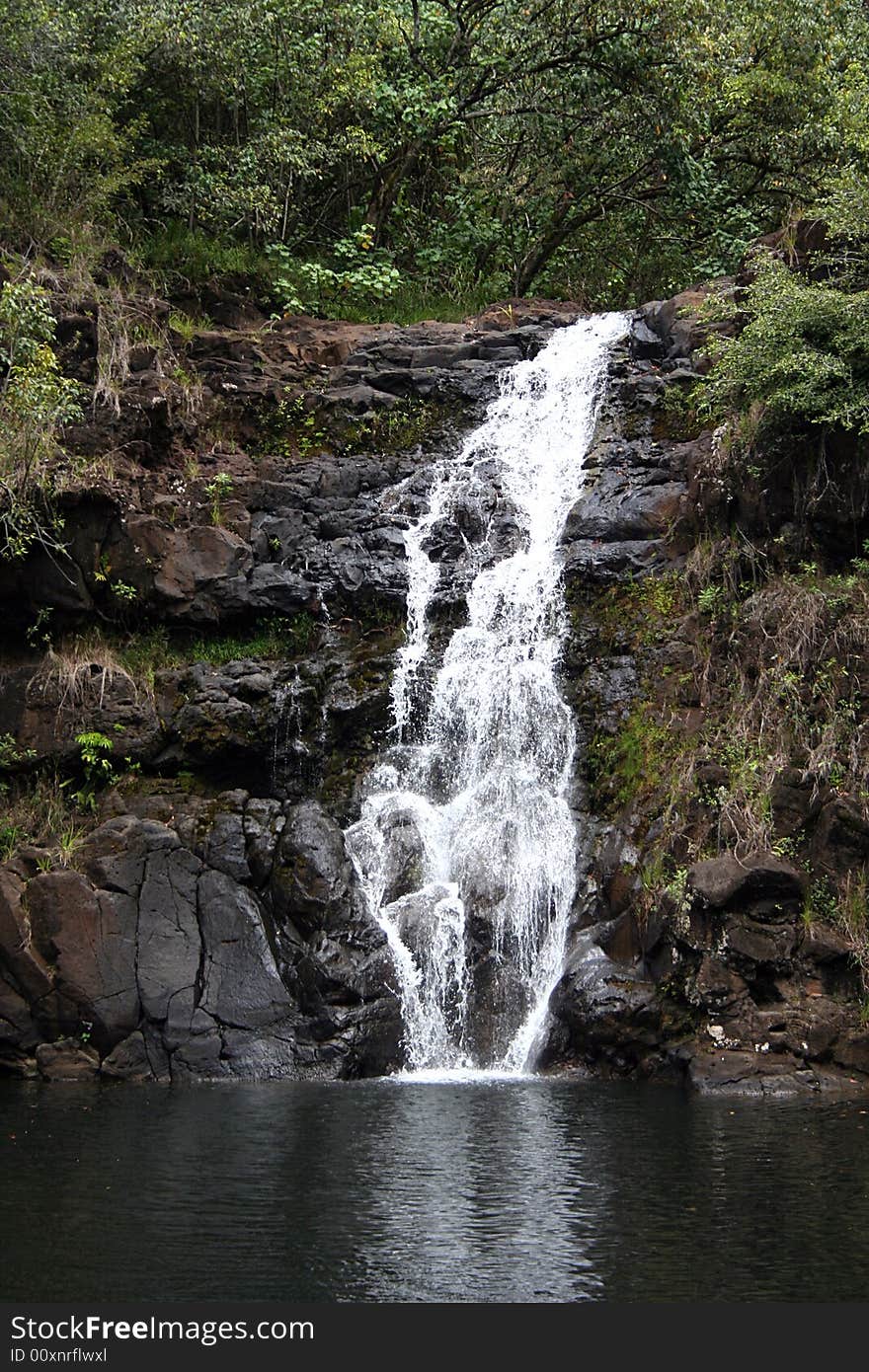 Waiamea Falls on Oahu, Hawaii flows steadily.