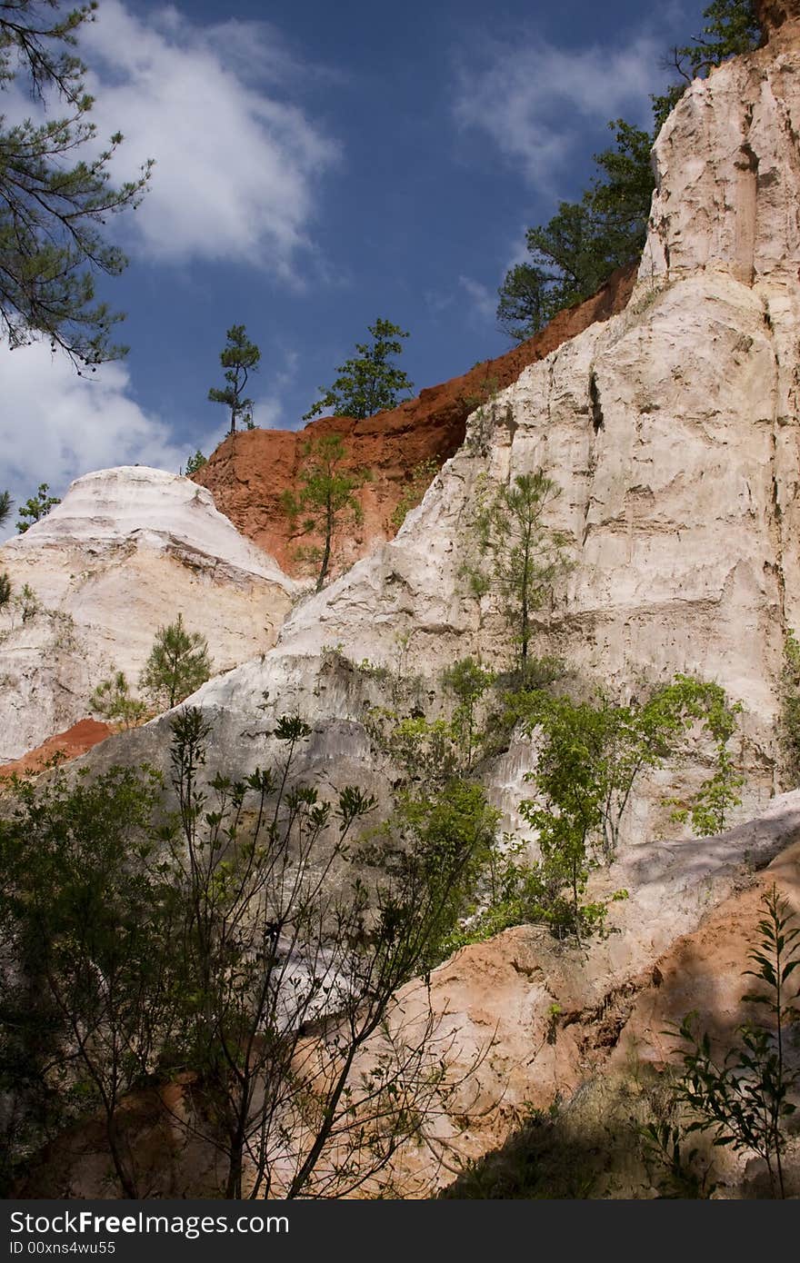 Picture from the bottom of canyon. Picture from the bottom of canyon