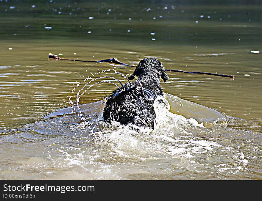 Making a Splash