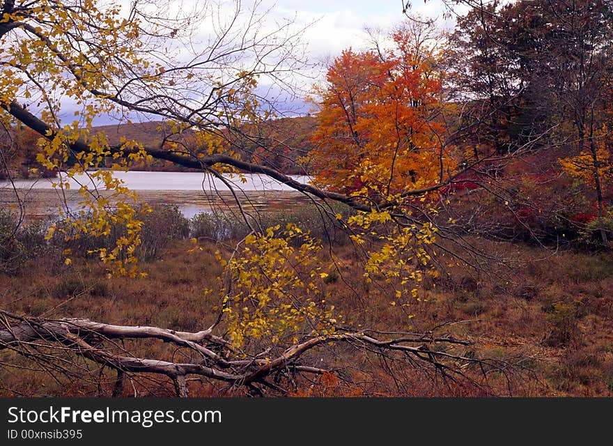 Late autumn in New York State on a cloudy day