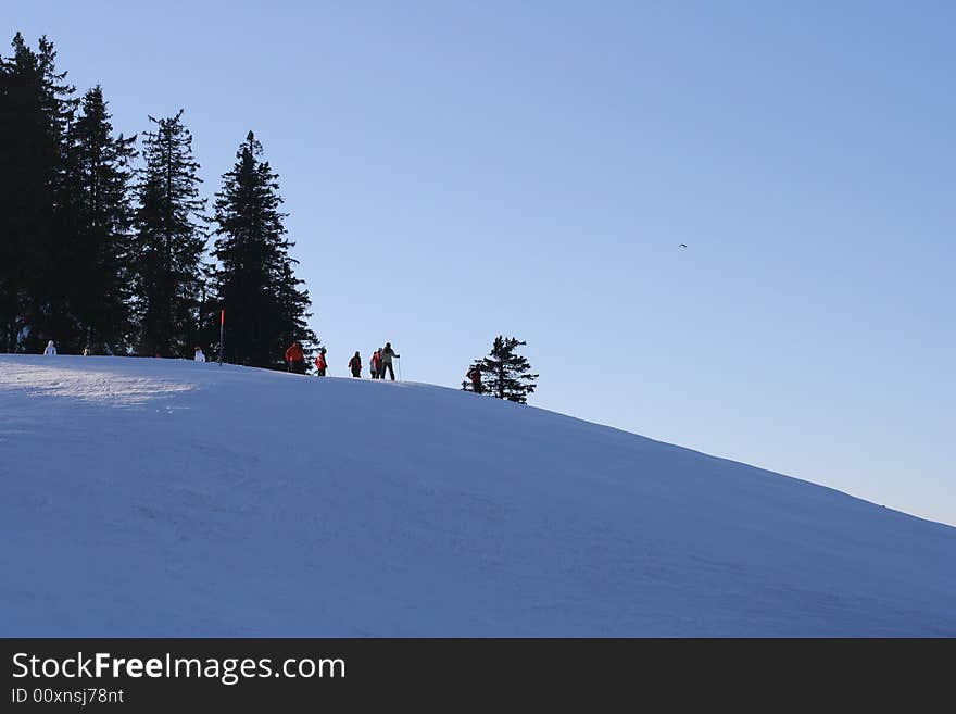 Winter forest and traces in the swiss Alps. Winter forest and traces in the swiss Alps