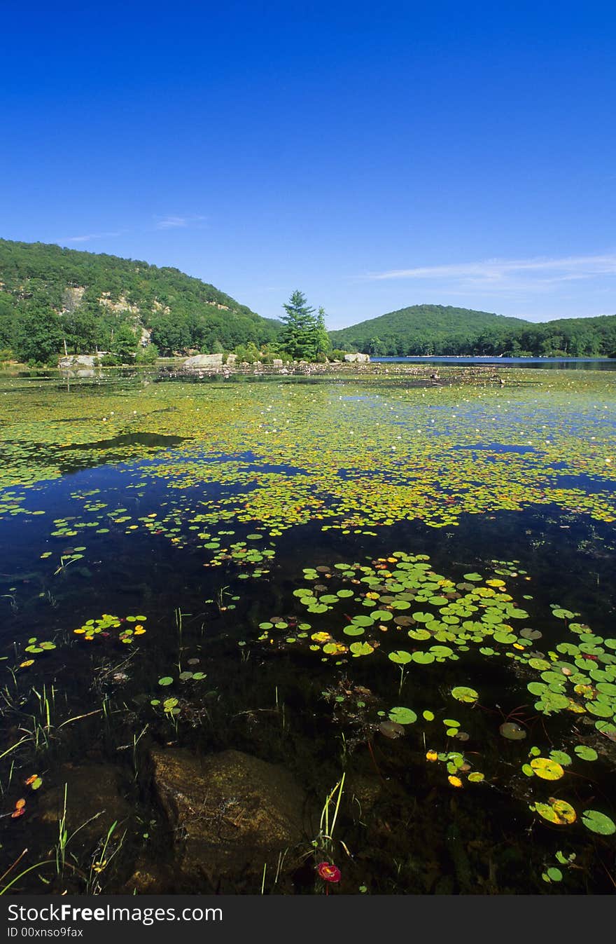 New York Lake