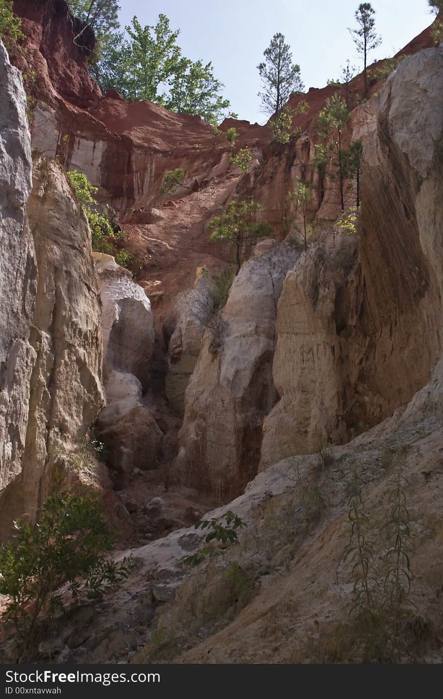 One end of the Providence Canyon , seen from bottom