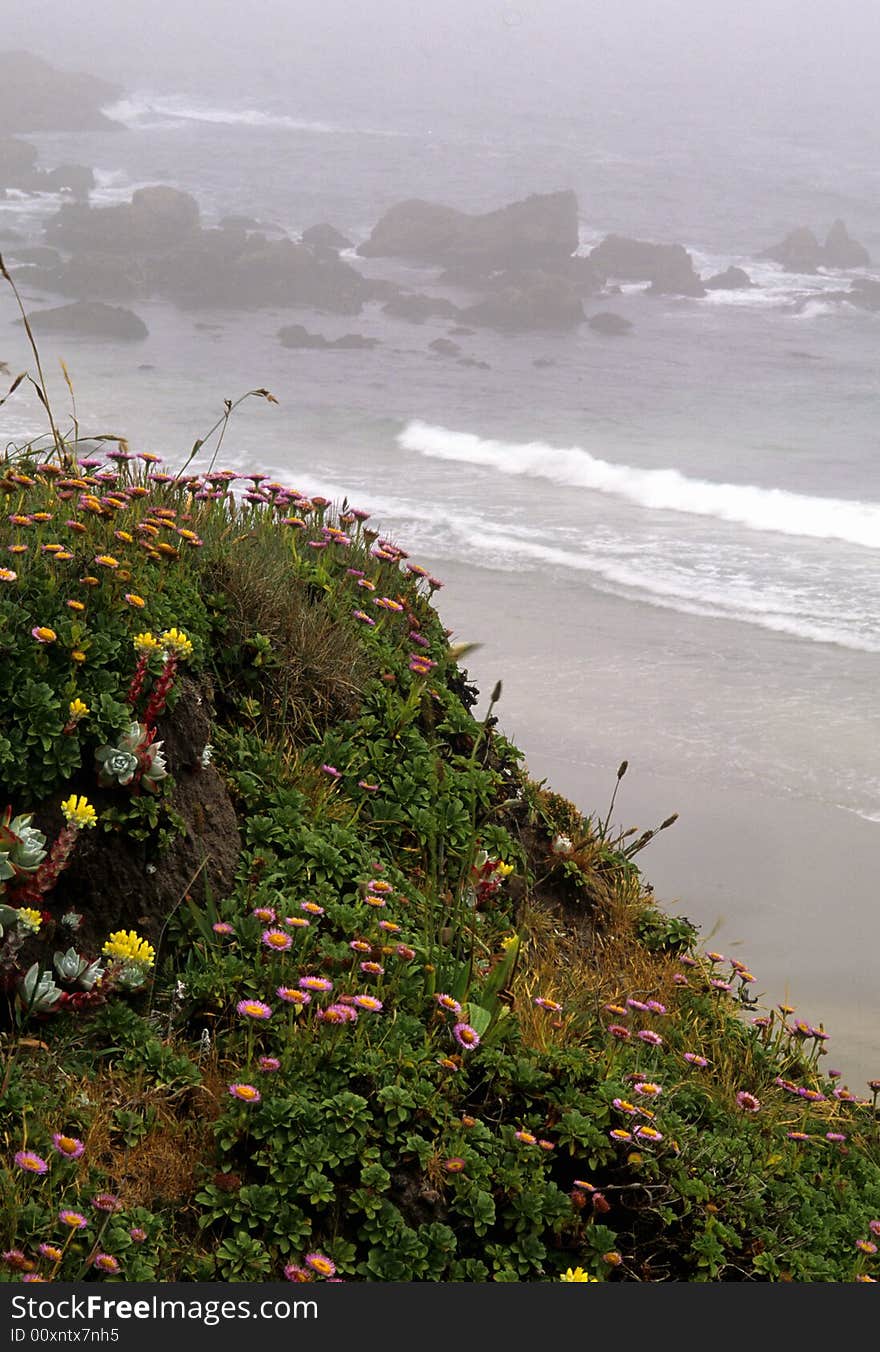 California coast