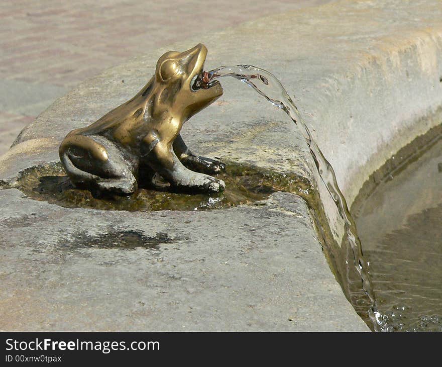 Frog fountain