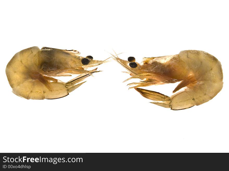 Close-up of tiger shrimps against; white background