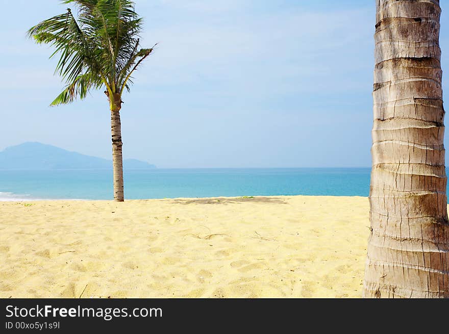 View of nice tropical empty sandy beach with some palm. View of nice tropical empty sandy beach with some palm