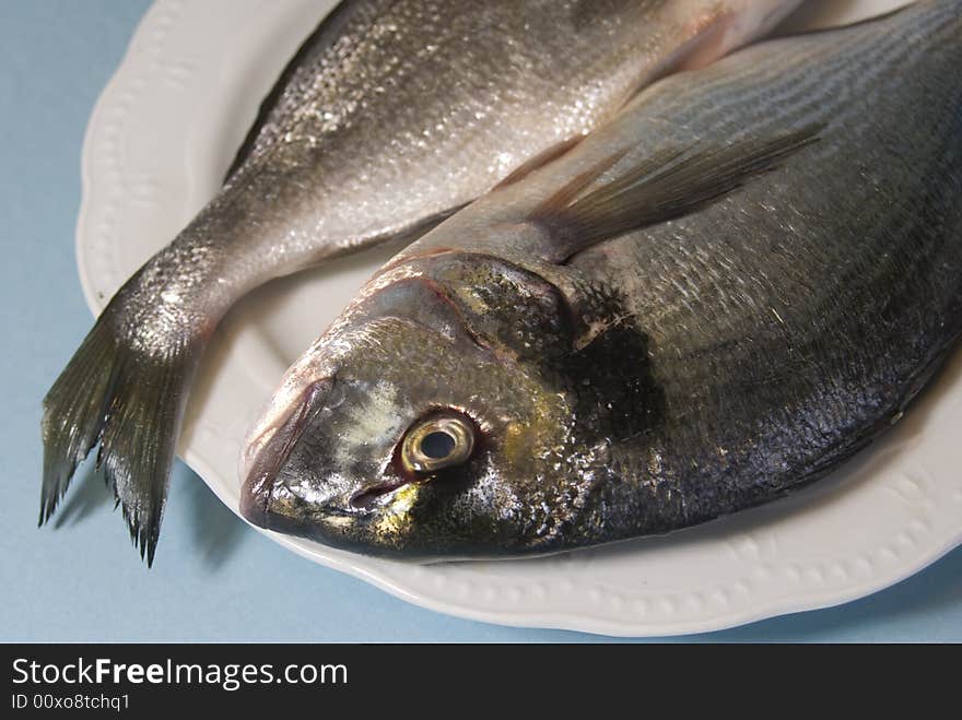 Tow raw gilthead fishes in a white dish. Tow raw gilthead fishes in a white dish