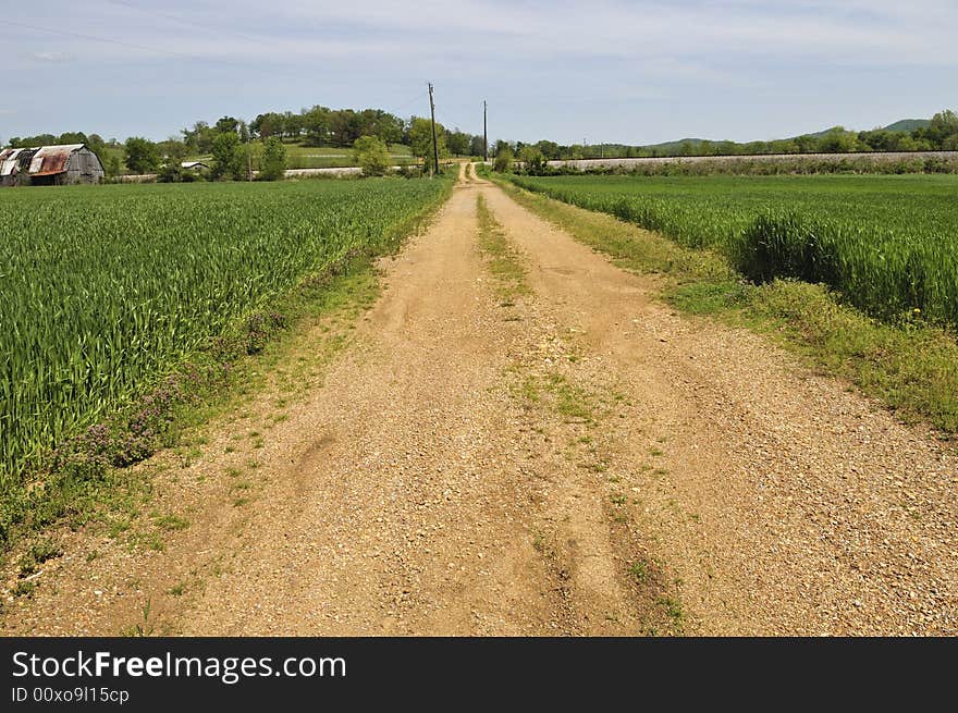 Old Dirt Road