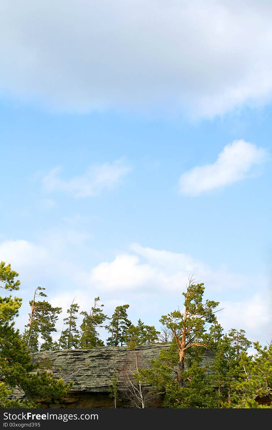 Landscape of green forest with bright blue sky