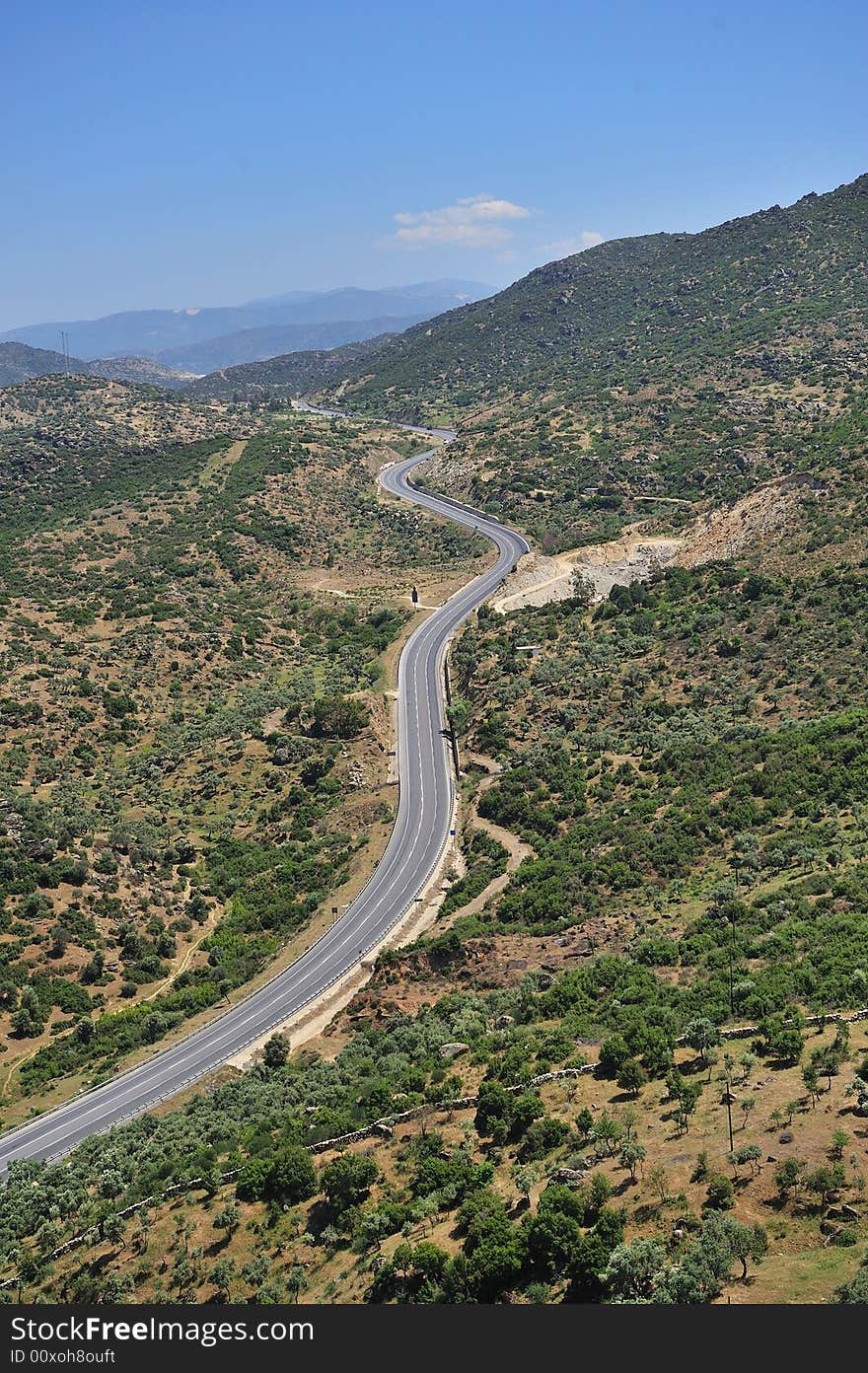 Curled road on the mountain tree