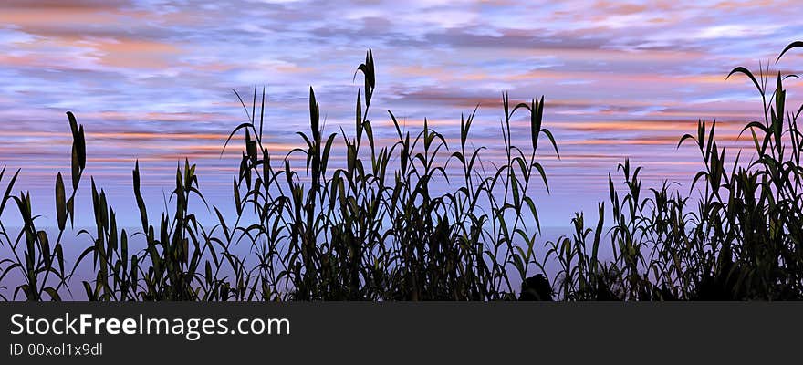 Water plants on a sea sunset  background  -  3D scene. Water plants on a sea sunset  background  -  3D scene.