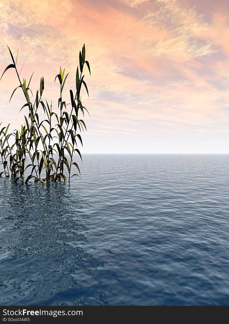 Water plants on a sea sunset  background  -  3D scene. Water plants on a sea sunset  background  -  3D scene.