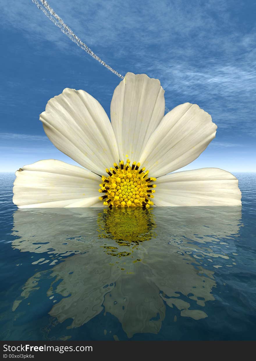 Beautiful flower with reflection on water - digital artwork.