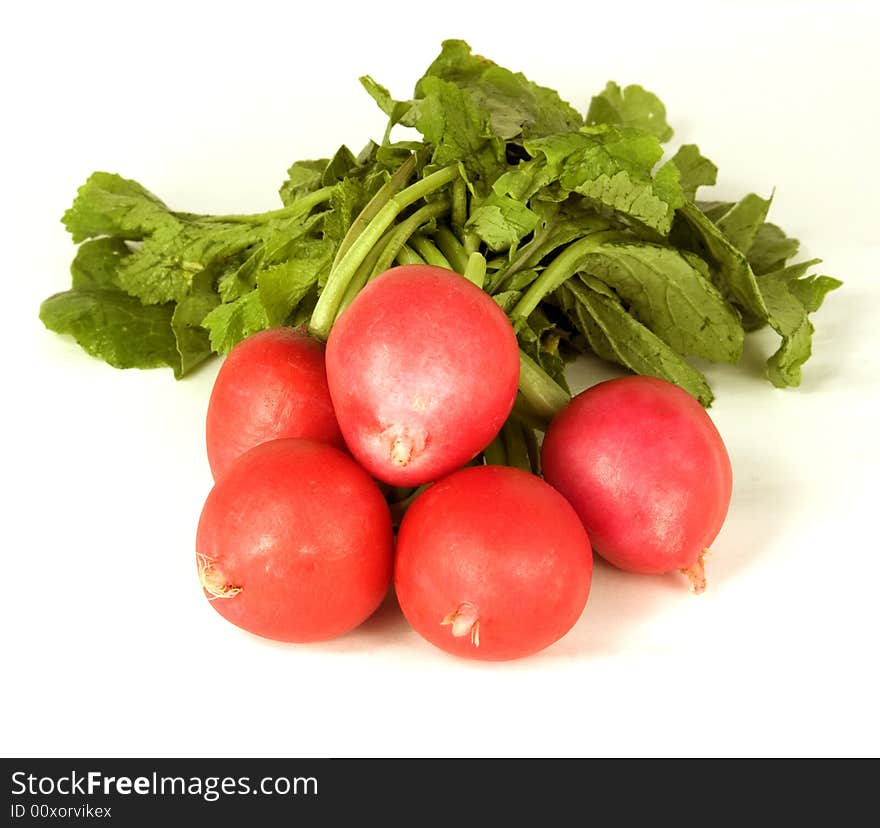 Red garden radish with leaves, collected in a vegetable garden