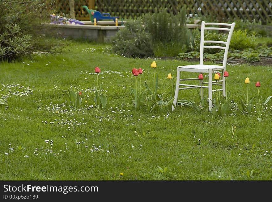 Nice place in the garden in the middle of tullips