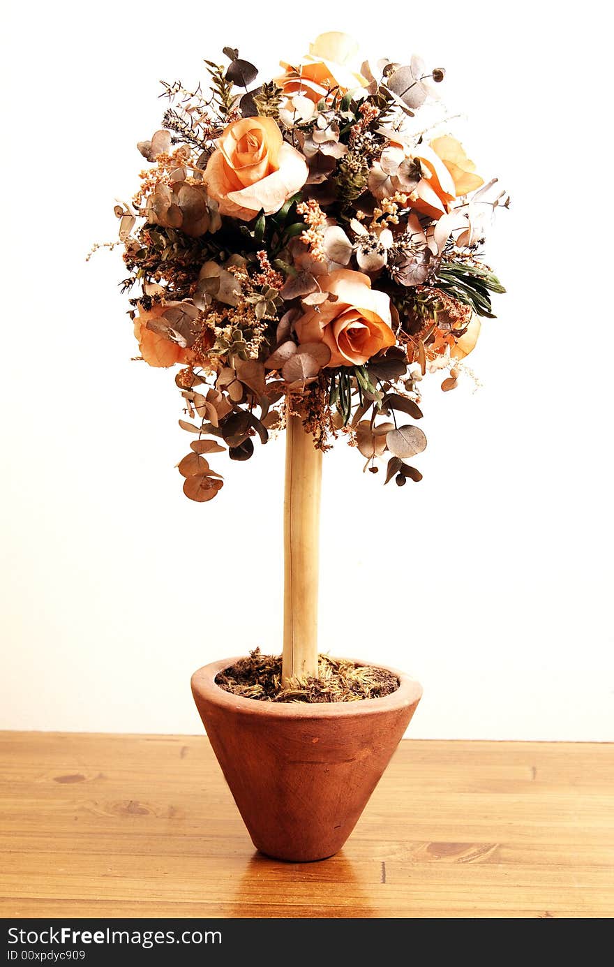 Rose Bush Standing On A Table