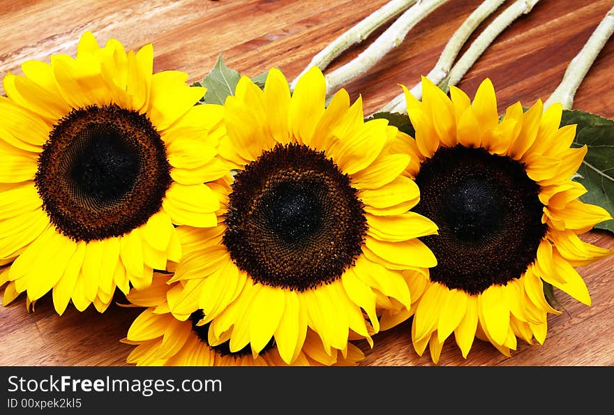 Sunflowers on a wooden table