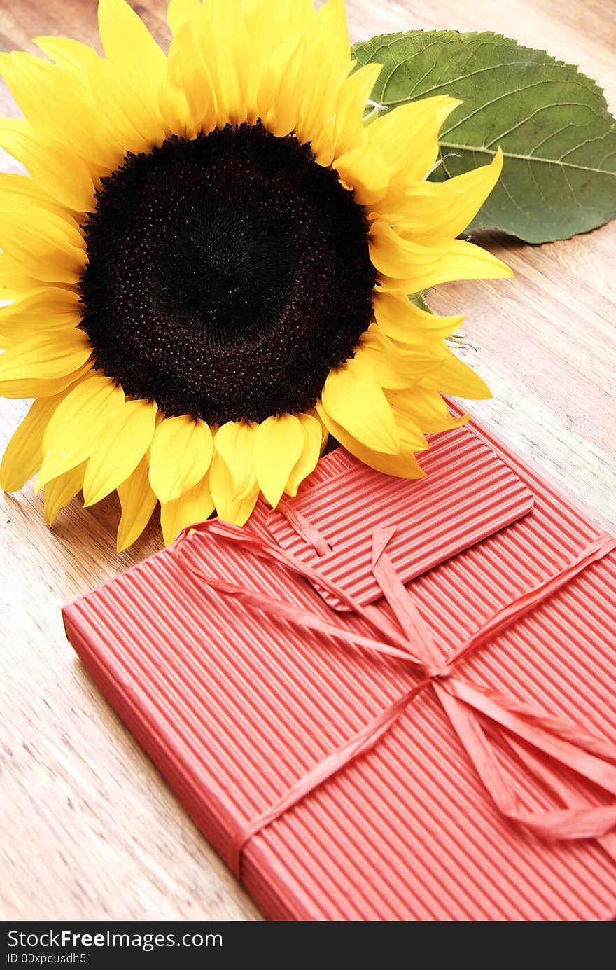 Sunflower and a red box on a wooden table