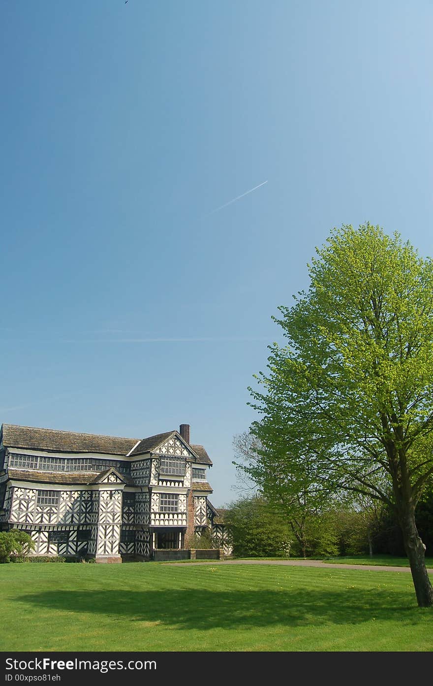 Tree And The Tudor House