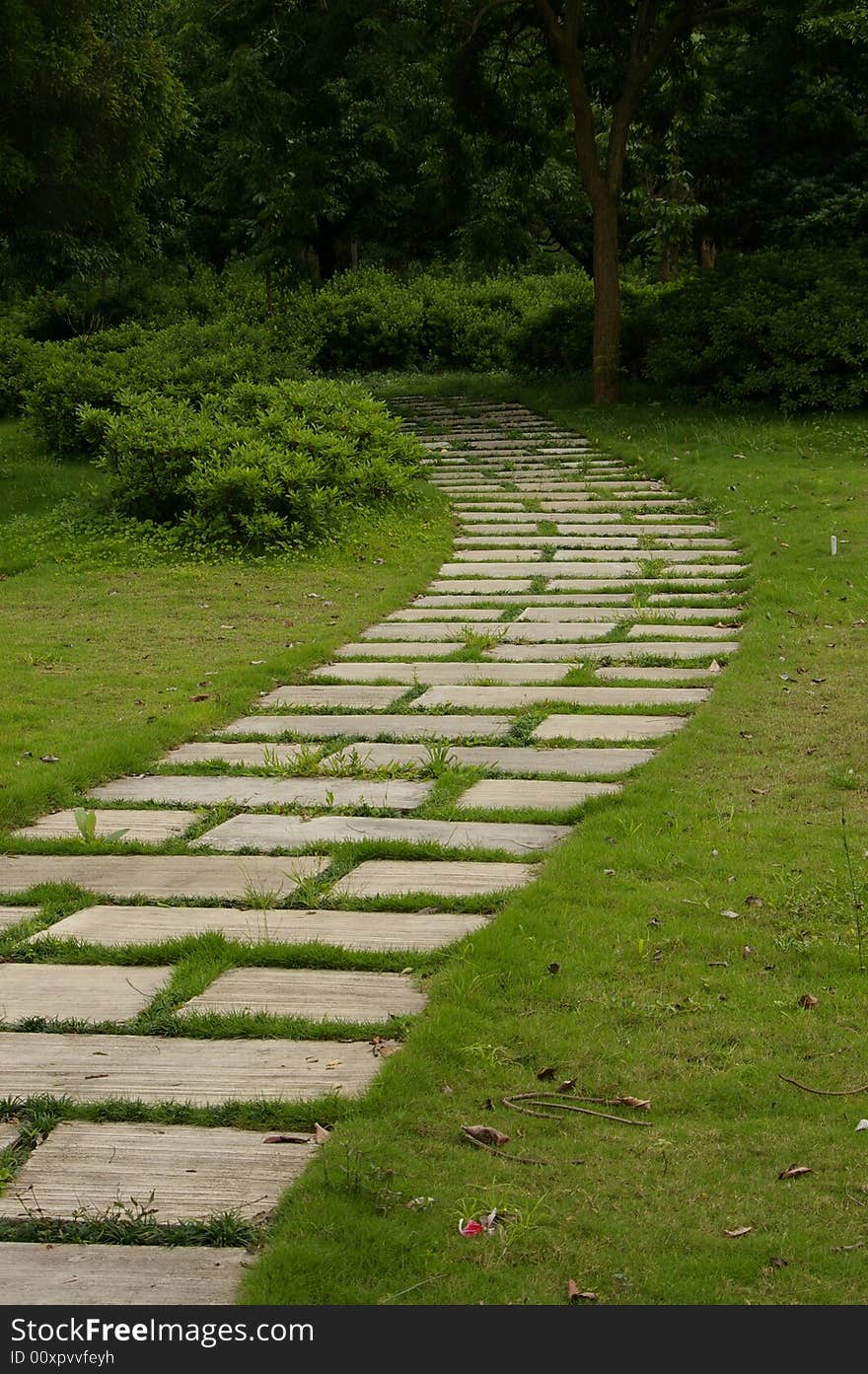 Winding stone road through the grassplot