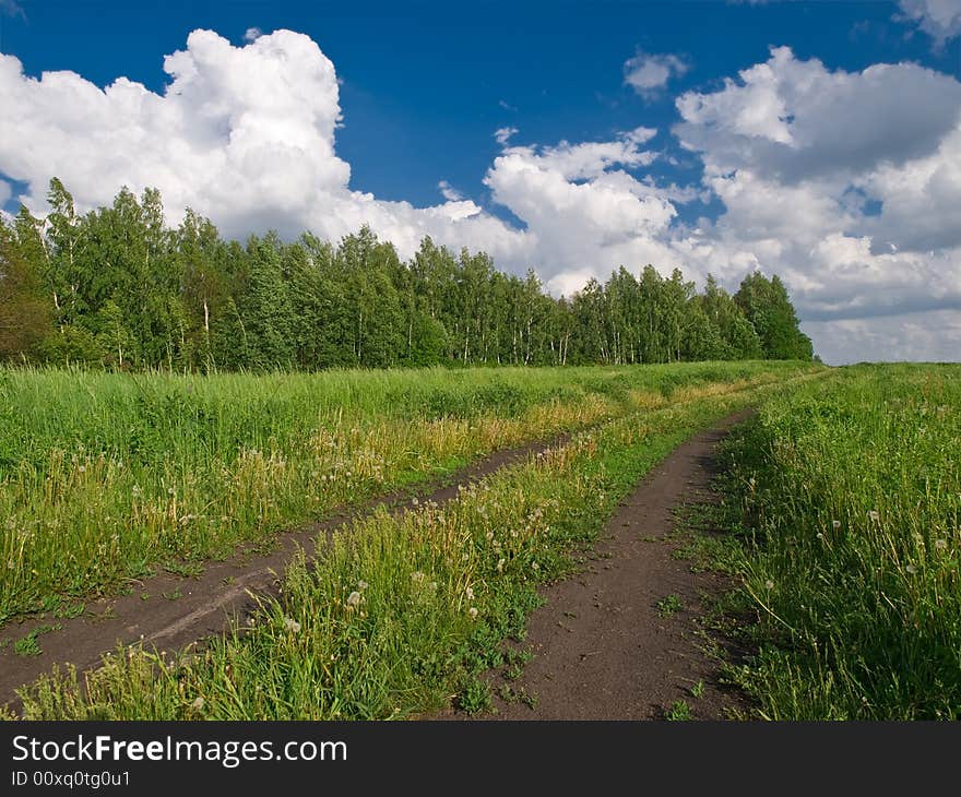 Landscape with countryside road, forest, sky and meadow