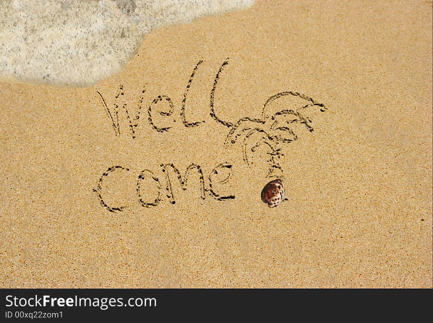 Well come is written and palm-tree is drawn on a sandy tropical beach . Well come is written and palm-tree is drawn on a sandy tropical beach .