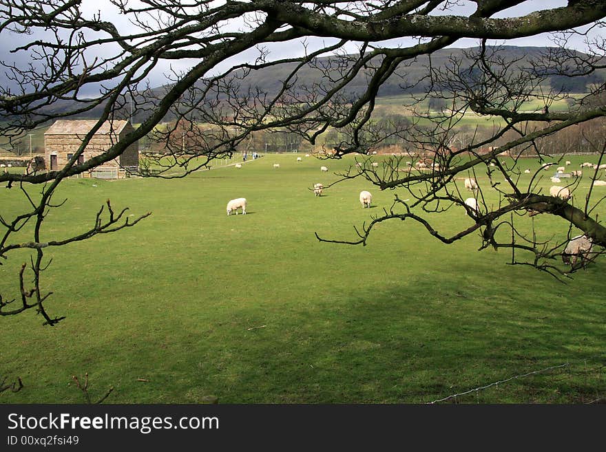 The Dales near Hawes