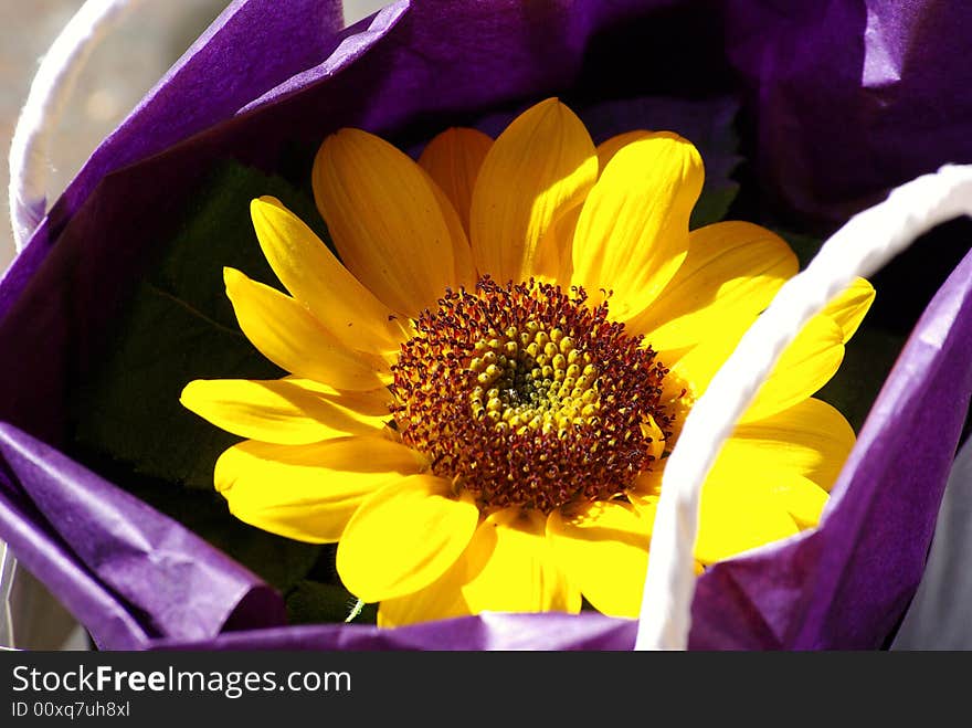 A Purple Bag With A Sunflower