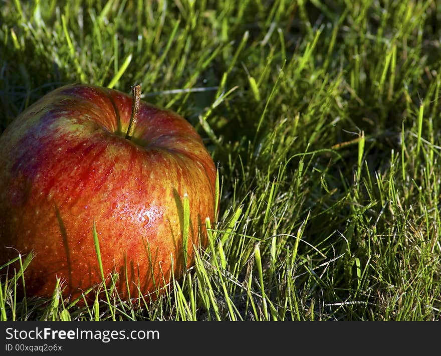 Close-up of red and yellow apple against nature background. Close-up of red and yellow apple against nature background