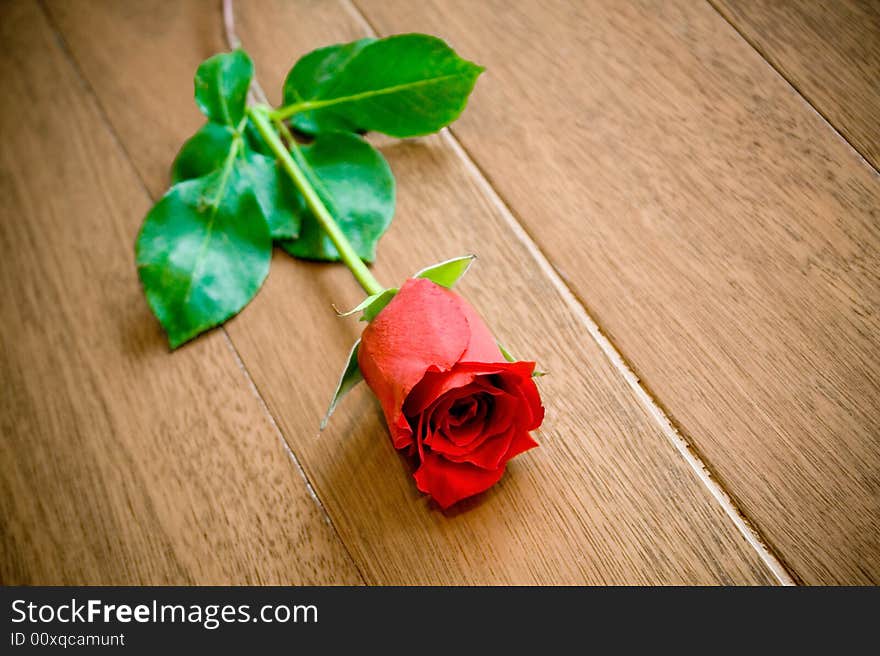 Red rose in wood floor