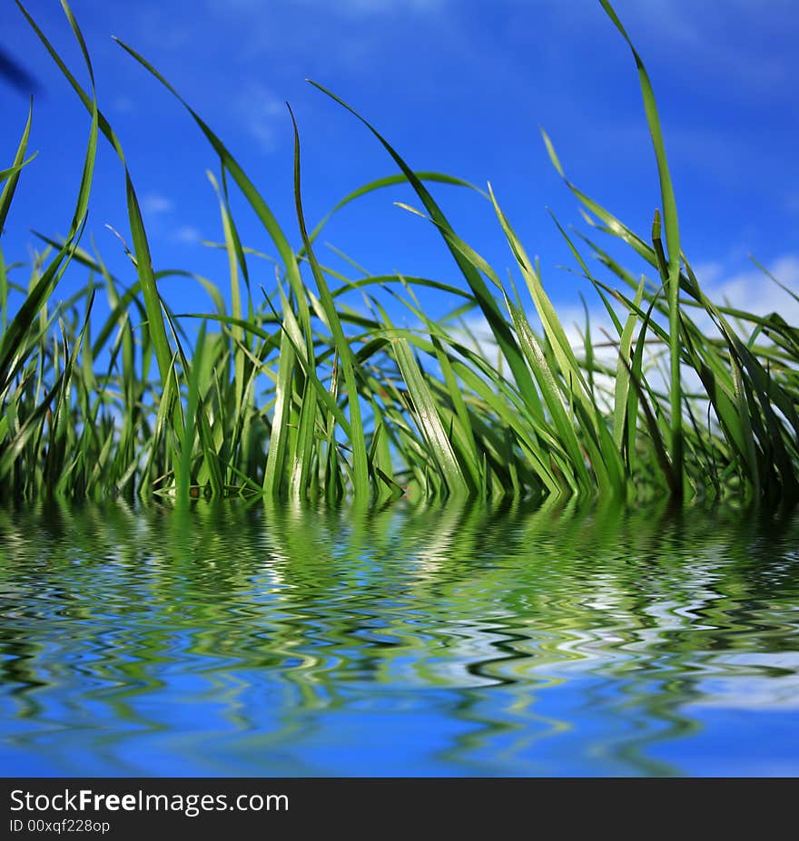 Clouds over the green grass. Clouds over the green grass