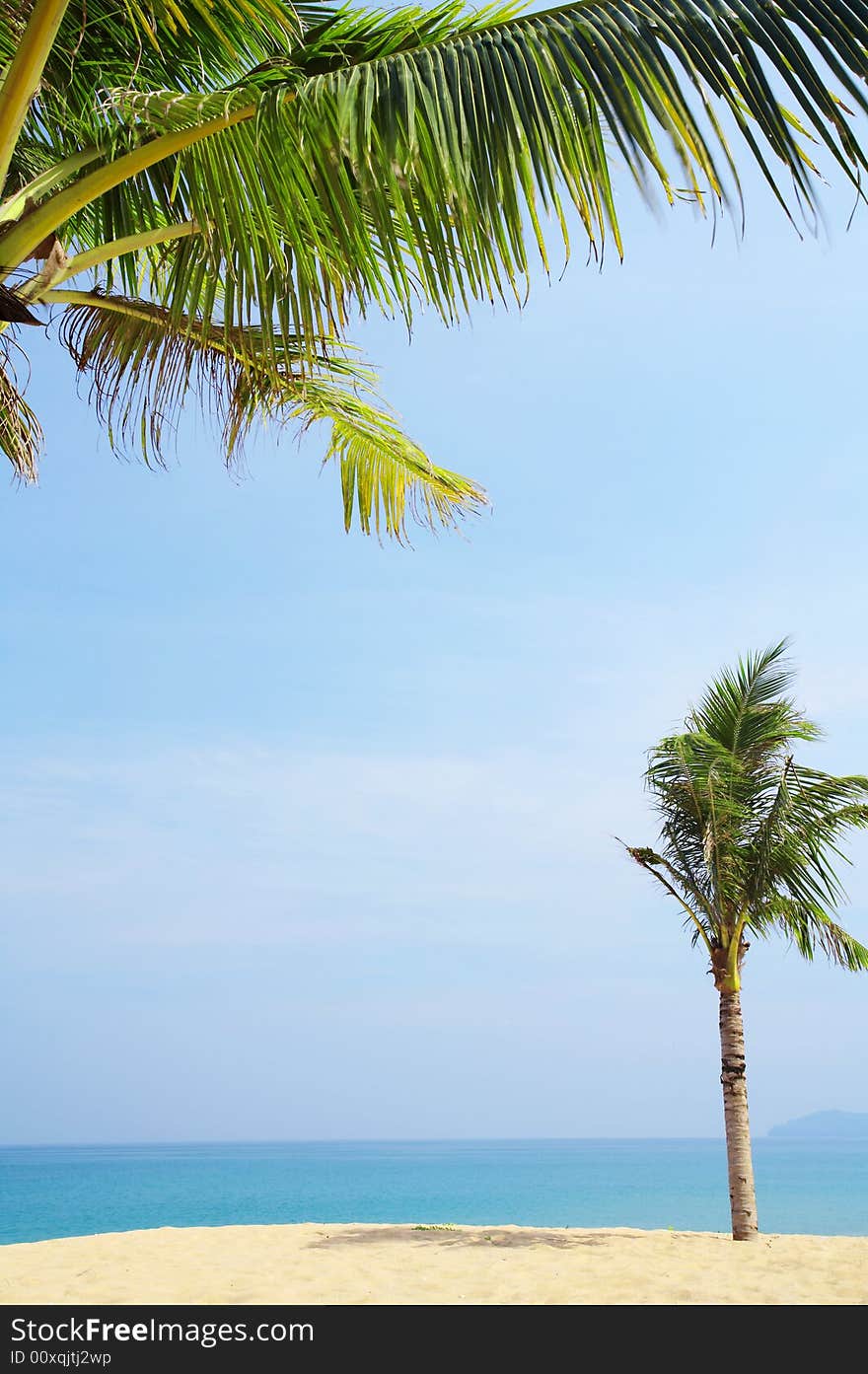 View of nice tropical empty sandy beach with some palm. View of nice tropical empty sandy beach with some palm