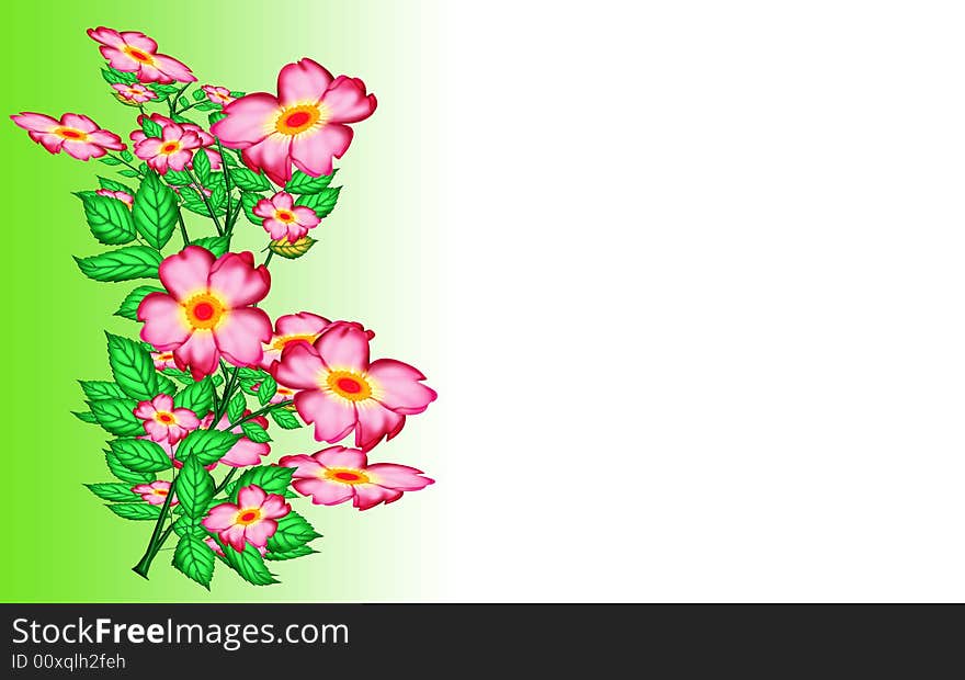 Pink flowers and green leaves in gradient green with white background