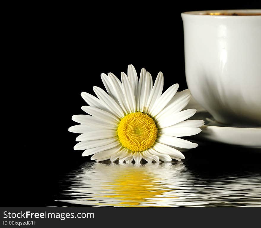 Camomile And Cup Of Coffee