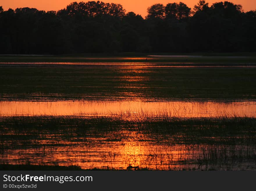 Sunset over meadow with pools of water