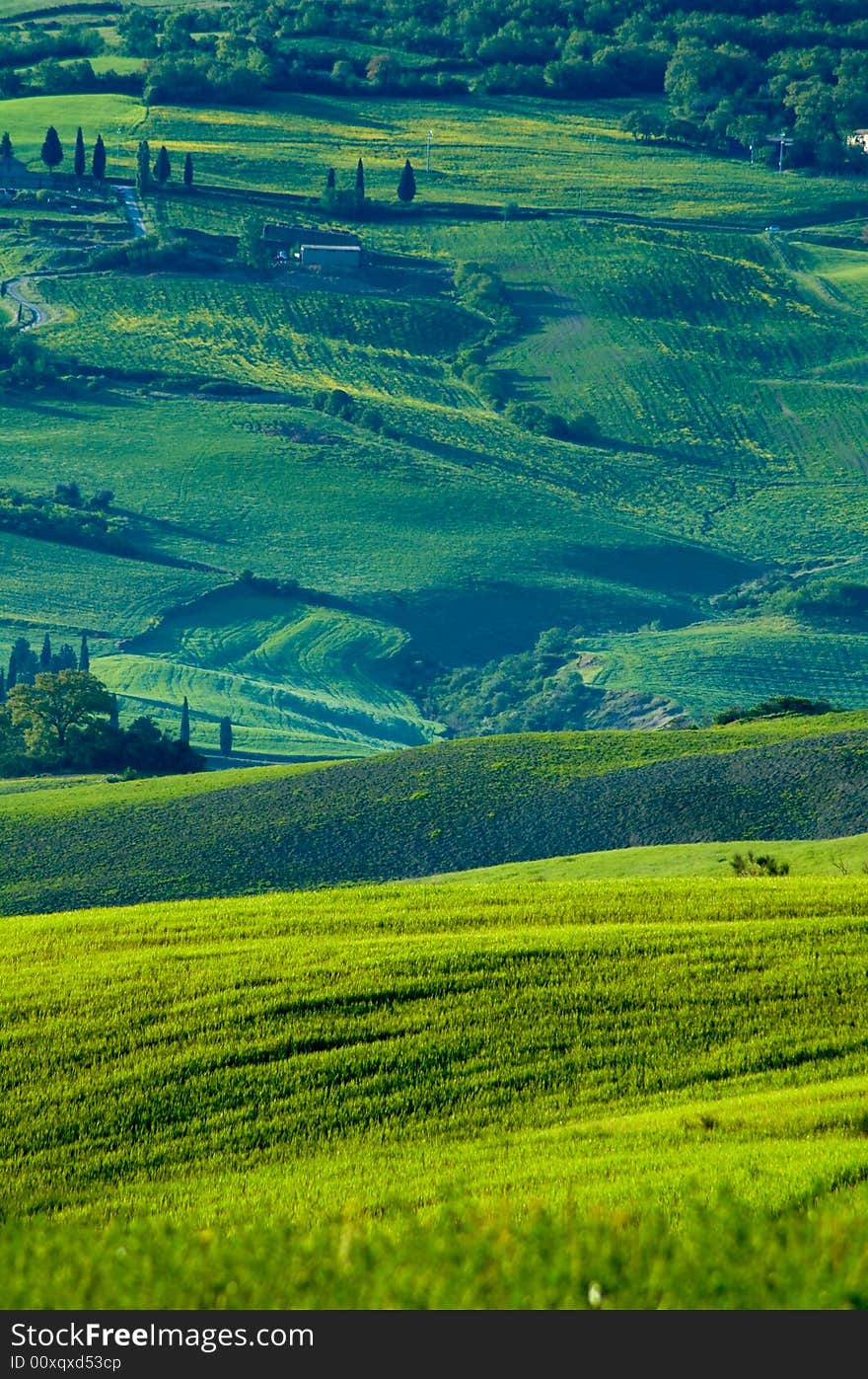 Rural countryside landscape in Tuscany region of Italy. Rural countryside landscape in Tuscany region of Italy.